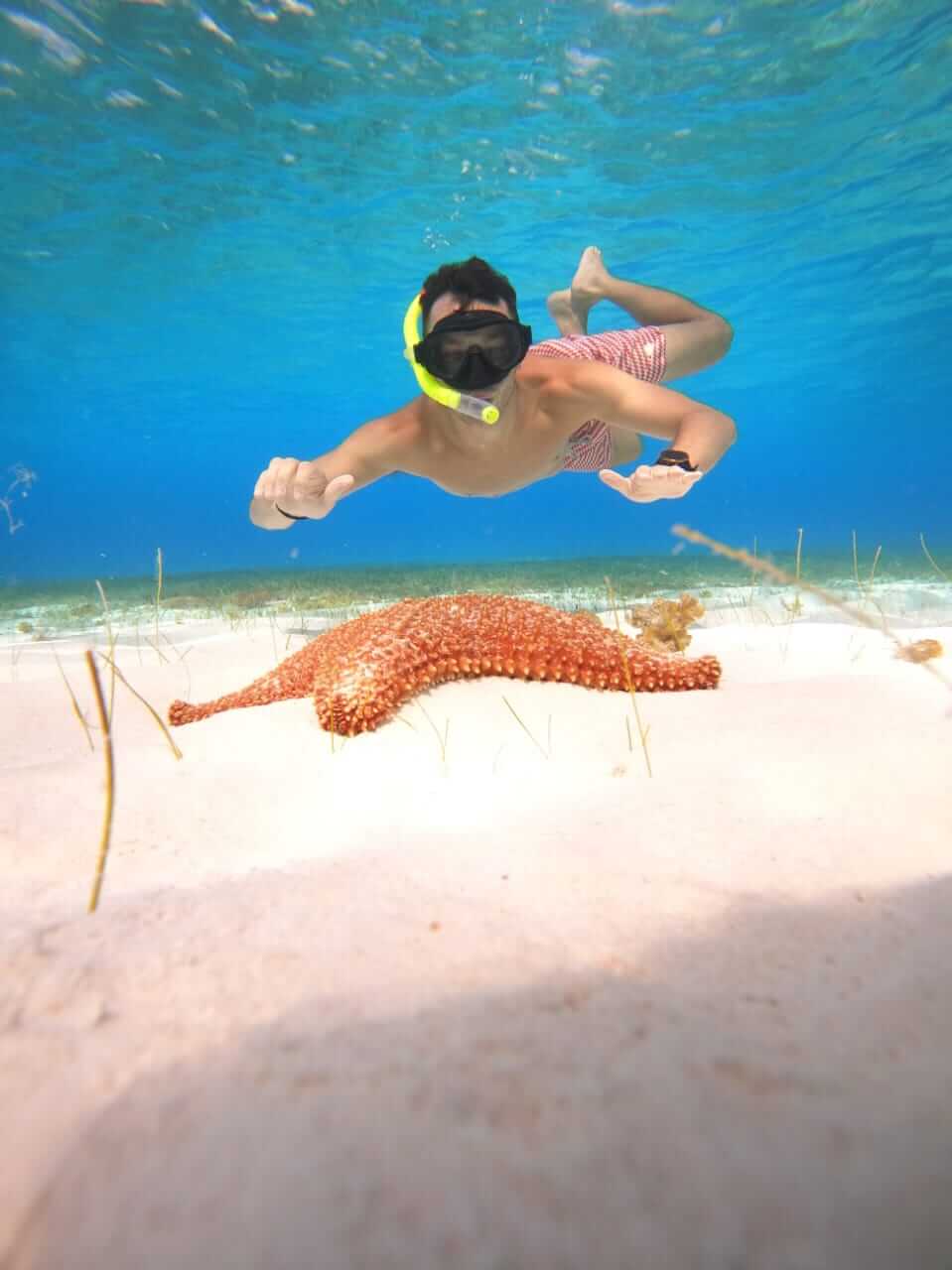 Sebastiaan snorkelen met gezin